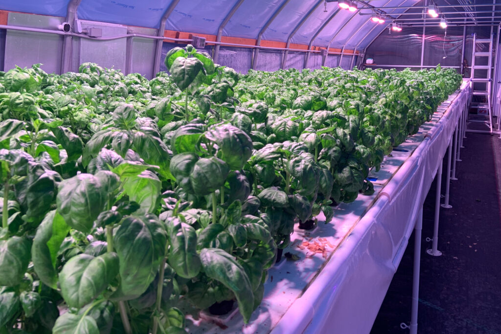 IMG_9589 Aquaponics